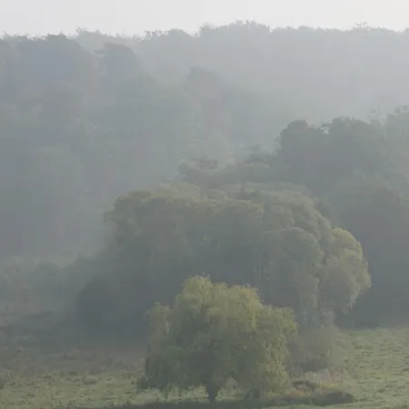 Oda ve Kahvaltı Mollehusets 3*