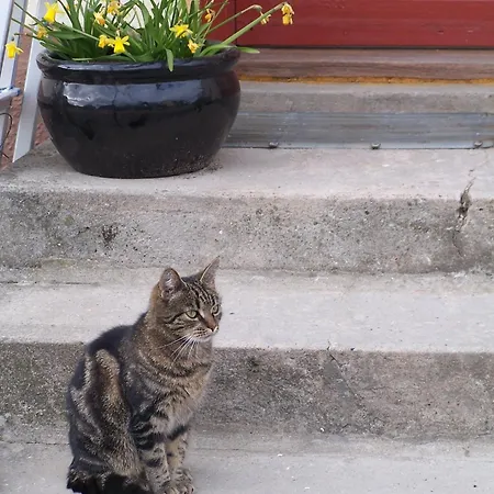 Mollehusets Nordborg