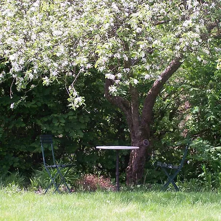 Bed & Breakfast Mollehusets