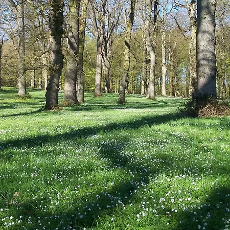 Mollehusets Bed & Breakfast Nordborg