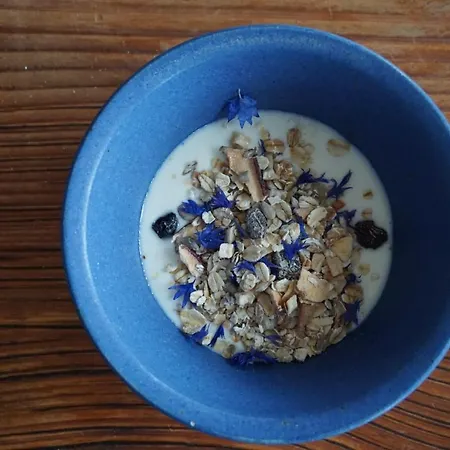 Mollehusets Oda ve Kahvaltı Nordborg