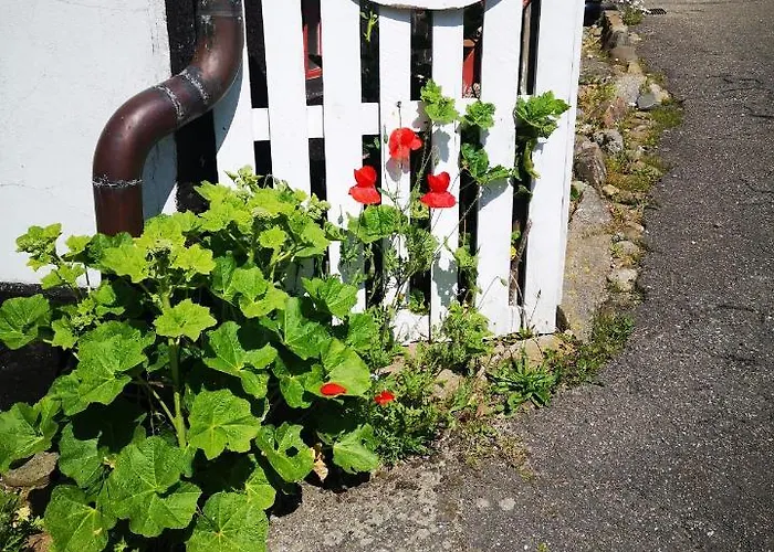 Mollehusets Nordborg