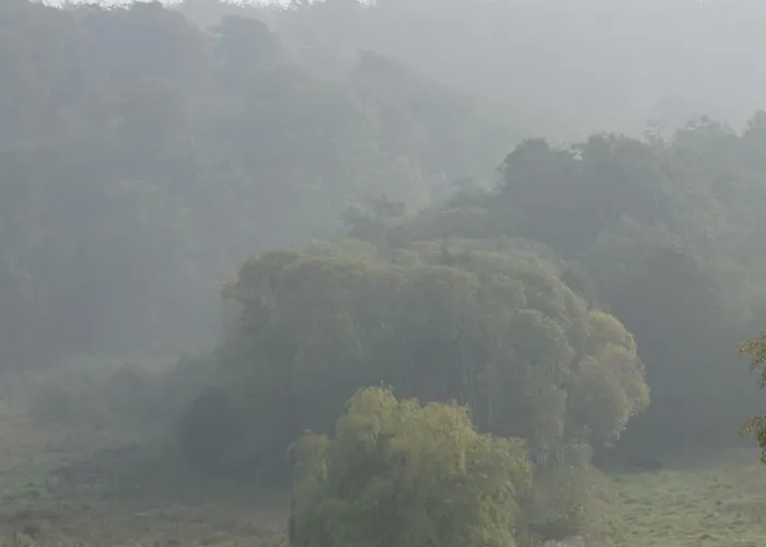 Bed and breakfast Mollehusets 3*