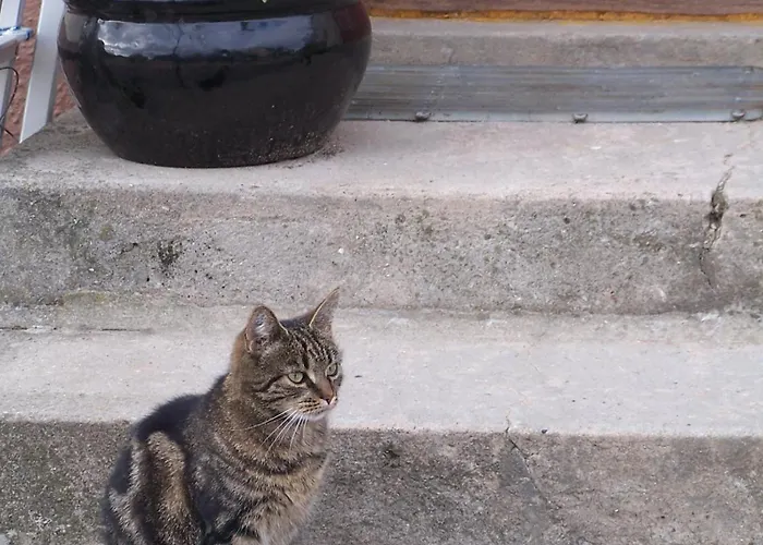 Mollehusets Nordborg