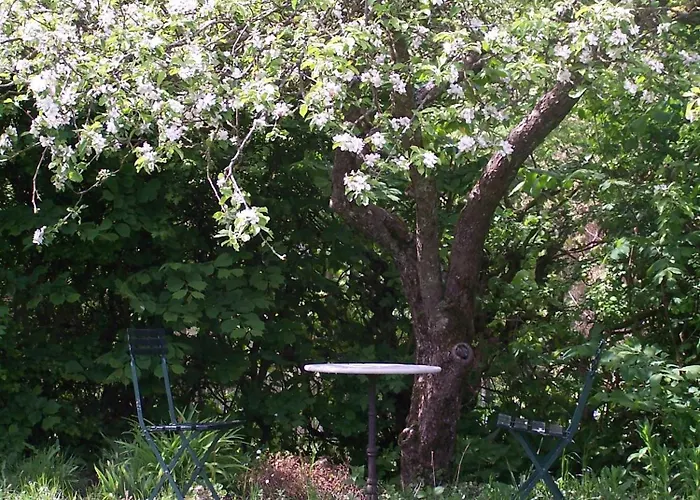 Bed and breakfast Mollehusets