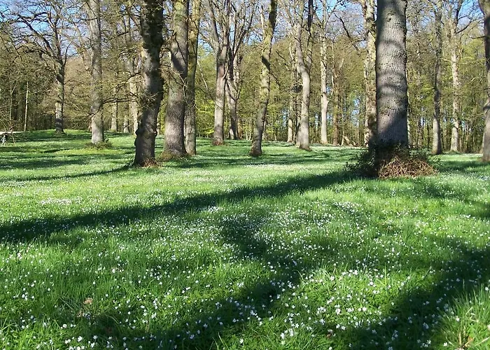 Mollehusets Bed and breakfast Nordborg